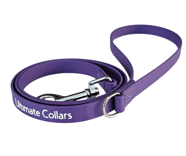 Dog Lead Anti-Bacterial 20mm