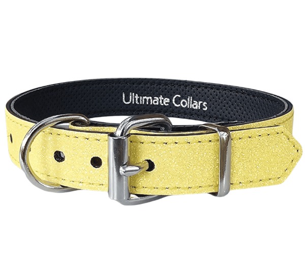 Dog Collar Glitter Medium/Large 25mm