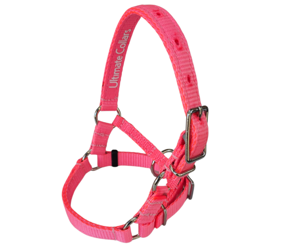 Alpaca Halter 15mm