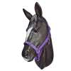 Anti-Bacterial-Lilac-25mm-Horse-Halter.png