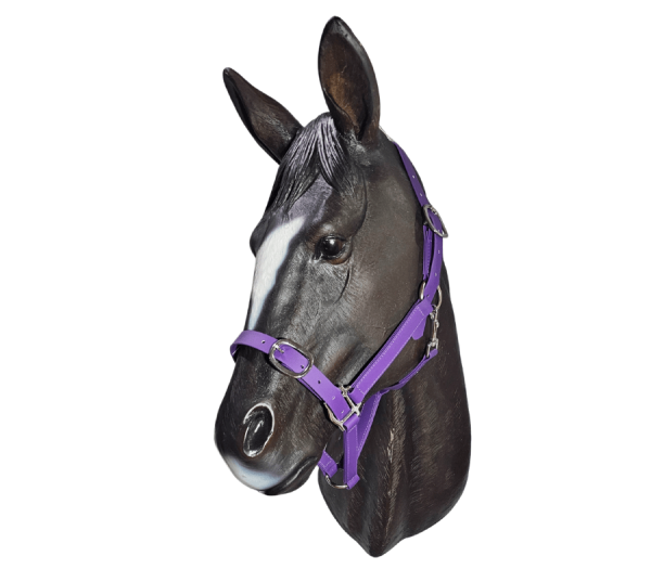 Horse Halter Anti-Bacterial 25mm