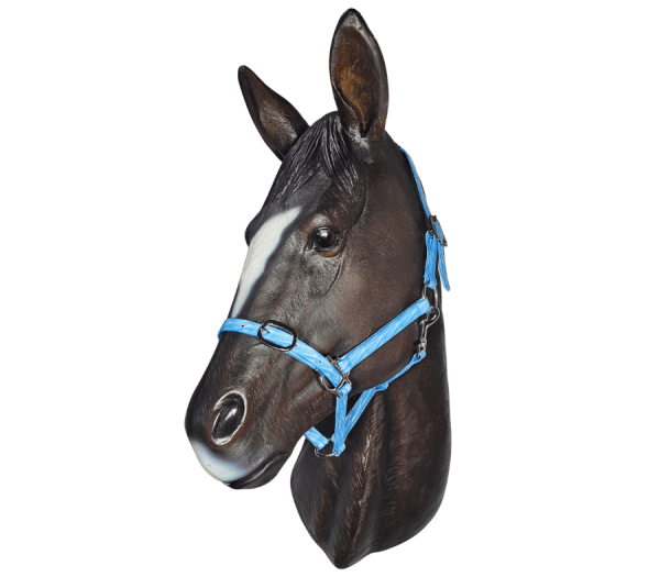 Horse Halter Anti-Bacterial Brindle 20mm
