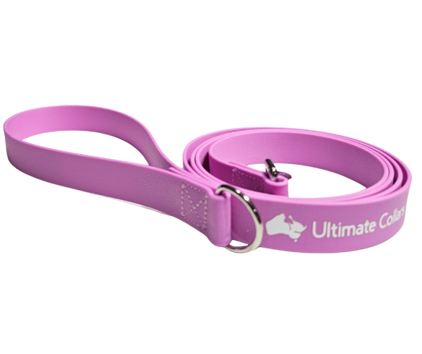 Dog Lead Anti-Bacterial 25mm