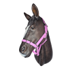Horse-Halter-Anti-Bacterial-25mm-Pastel-Lavender.png