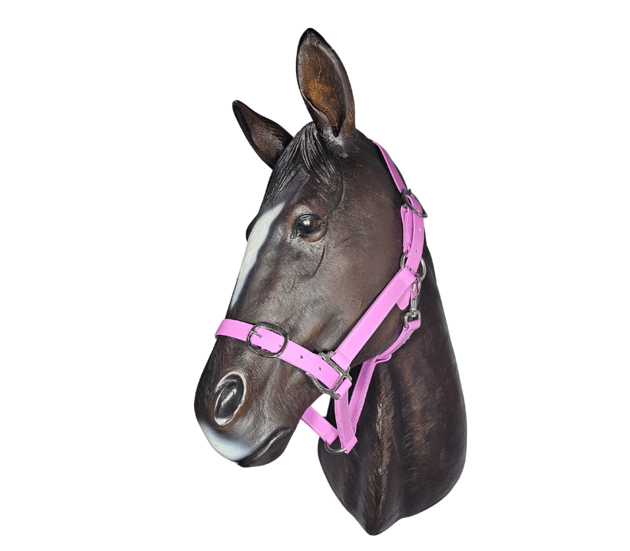 Horse-Halter-Anti-Bacterial-25mm-Pastel-Lavender.png