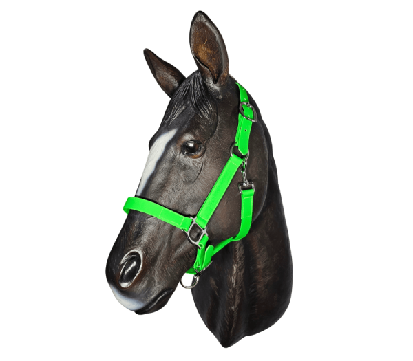 Horse Halter Under Jaw Buckle Anti-Bacterial 20mm