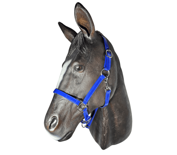 Horse Halter Under Jaw Buckle PVC 20mm