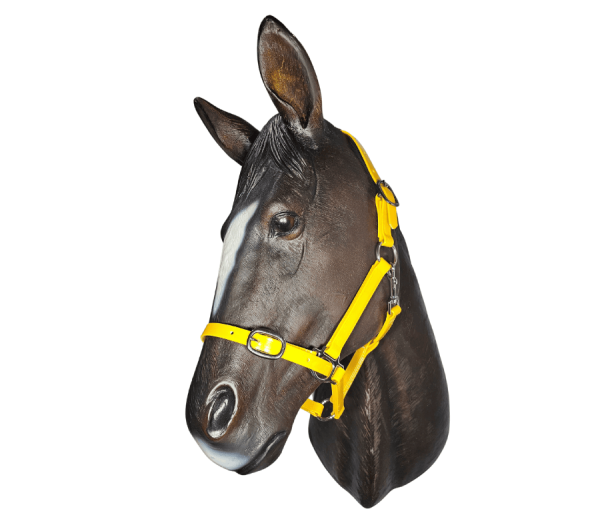 Horse Halter PVC 20mm