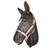 Horse-Halter-Pastel-Pink-Anti-bact-25mm.png