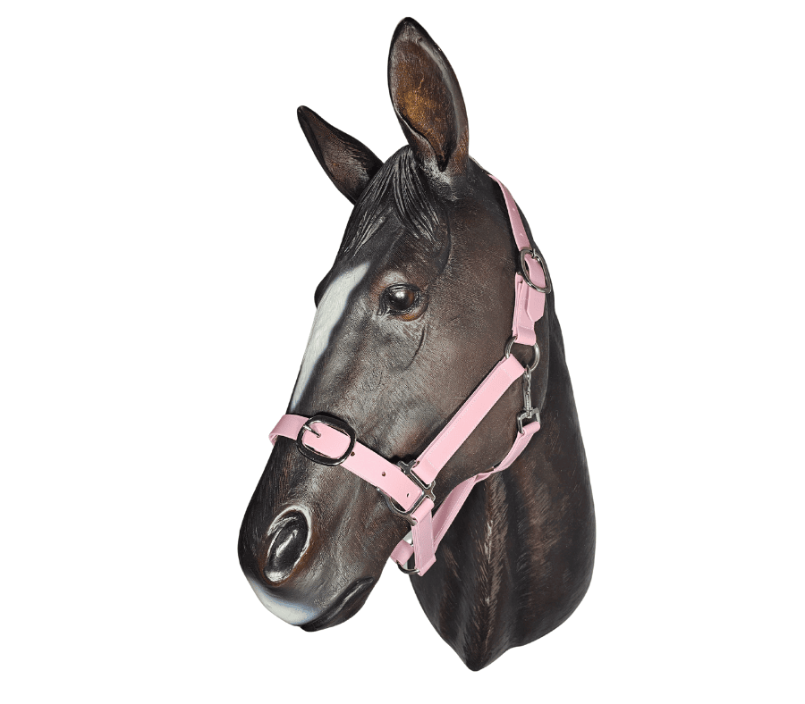 Horse-Halter-Pastel-Pink-Anti-bact-25mm.png