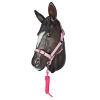 Horse-Halter-Pastel-Pink-Anti-bacterial-25mm.png