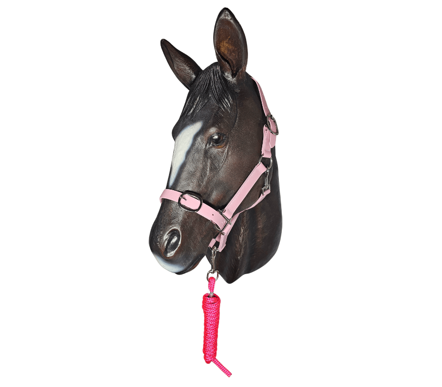 Horse-Halter-Pastel-Pink-Anti-bacterial-25mm.png