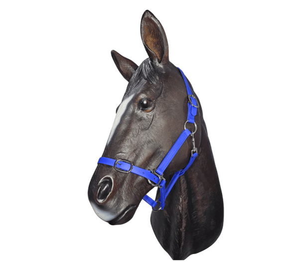 Horse Halter BioThane® 20mm