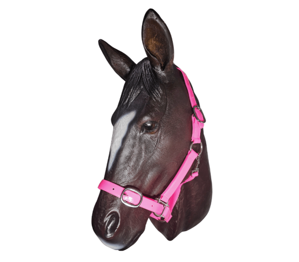 Horse Halter PVC 25mm