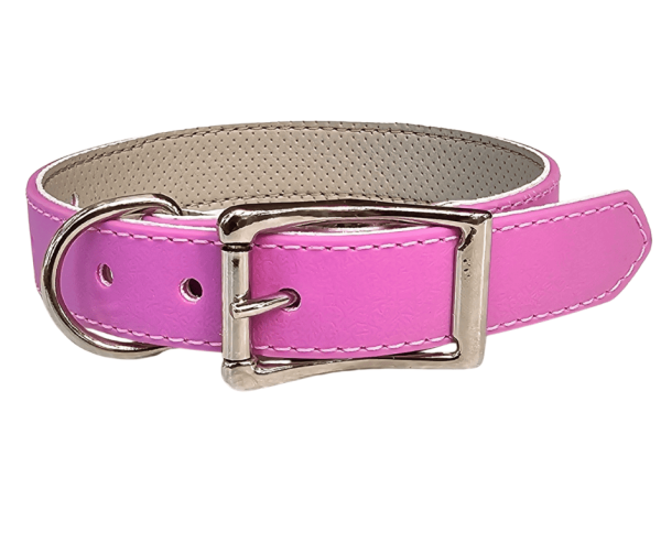 Dog Collar Anti-Bacterial Med/Large/XLarge Lined 25mm