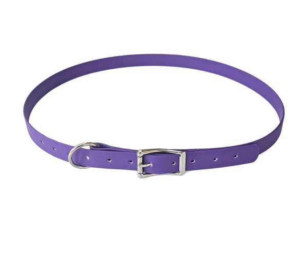 Horse ID Collar 25mm