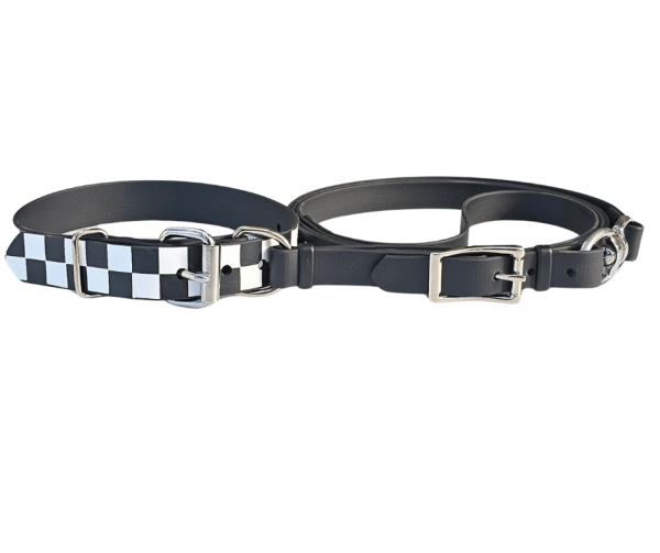 Greyhound Box Collar Set BioThane®