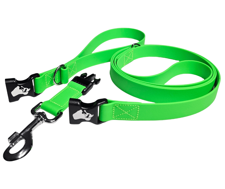 Walk-Swap-Set-5.png