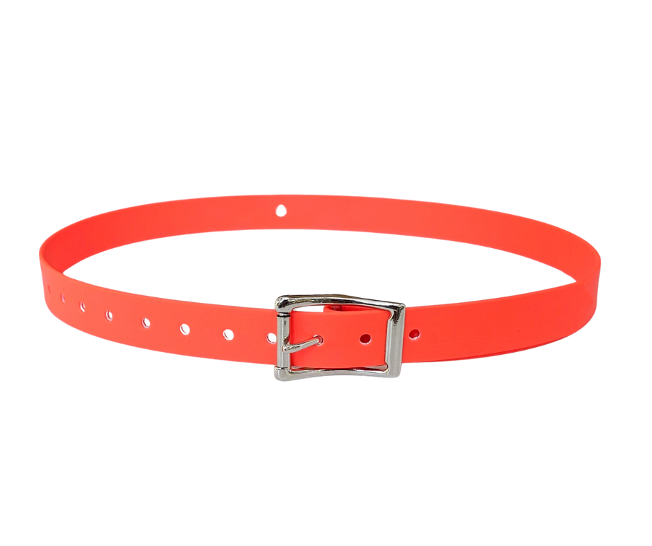 neon-pink-1.png