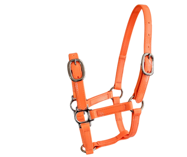 Horse Halter Shetland PVC 20mm